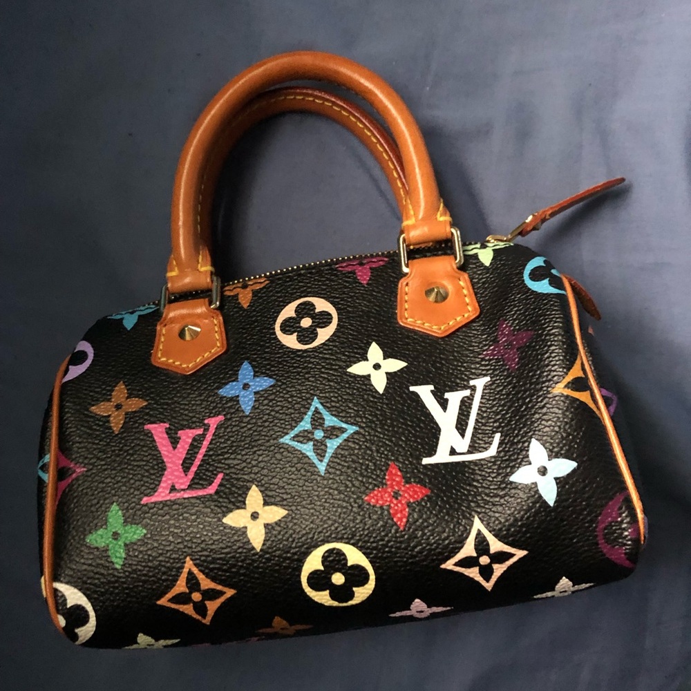 Luis Vuitton Multicolor Speedy